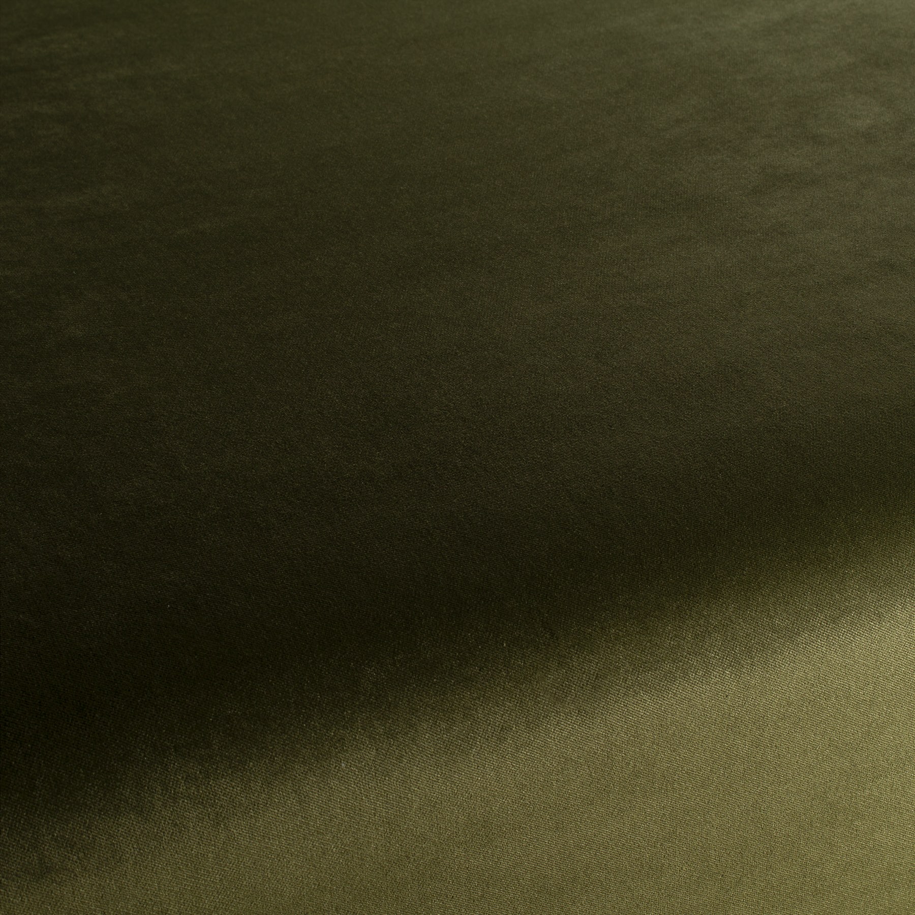 Ja3005 035 Champion Jab Samtvorhang Samt Polsterstoff Gruen Ja3005 035 Champion Jab Samtvorhang Samt Polsterstoff Gruen