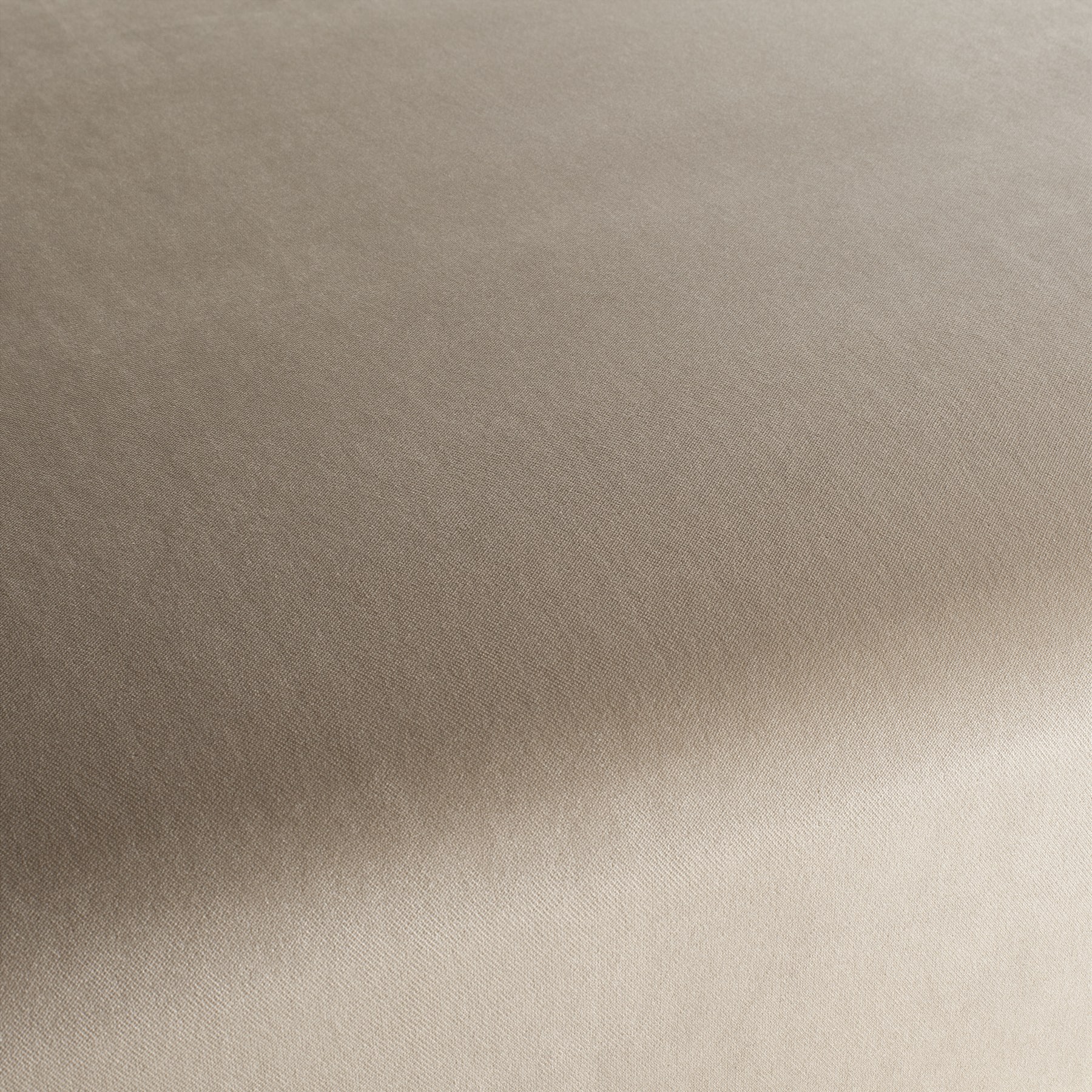 Ja3005 078 Champion Jab Samtvorhang Samt Polsterstoff Beige Ja3005 078 Champion Jab Samtvorhang Samt Polsterstoff Beige