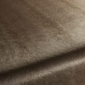 Ca1292 023 Pistoia Velvet Exklusive Italienische Samt Moebelstoffe Stoffe Braun