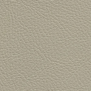 331438 Sk Chance Sonnhaus Kunstleder Meterware Beige Grau