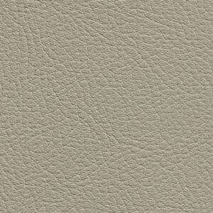 331439 Sk Chance Sonnhaus Kunstleder Meterware Beige Grau
