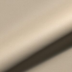 Rio Fr 908 Hoepke Kunstleder Meterware Beige