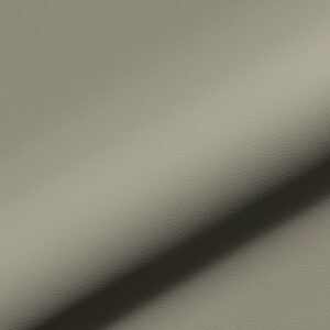 Rio Fr 939 Hoepke Kunstleder Meterware Gruen Grau