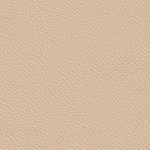 227x6124 Master Plus Plus Kunstleder Meterware Beige
