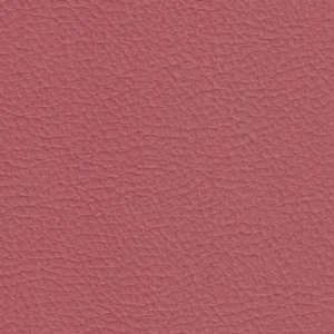 227x6280 Master Plus Plus Kunstleder Meterware Rot